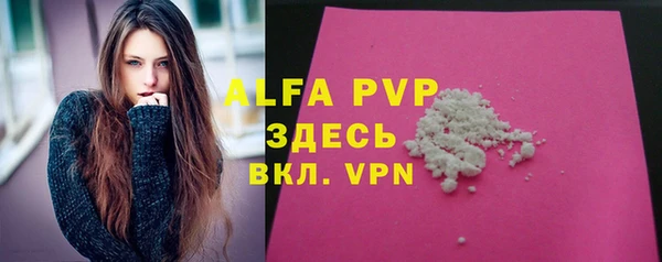 сатива Беломорск