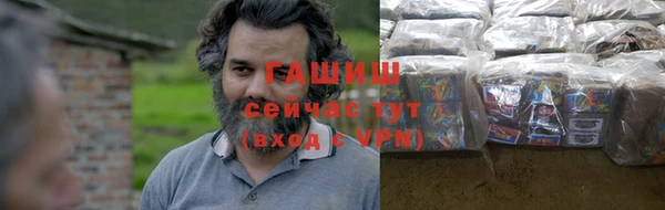 сатива Беломорск