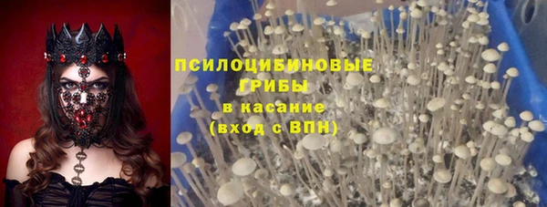 сатива Беломорск