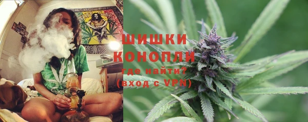 каннабис Белокуриха