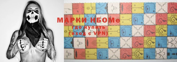 сатива Беломорск